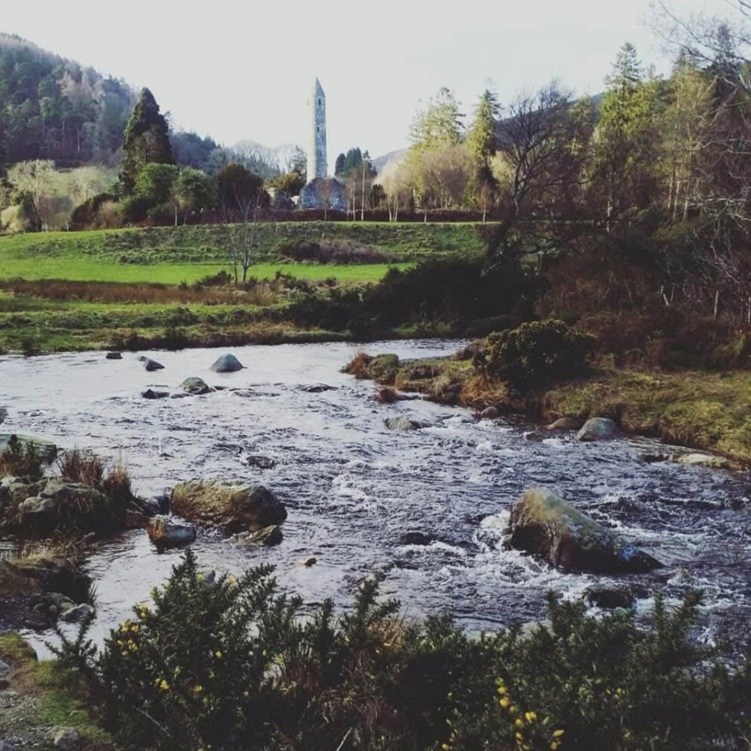 michael j therapy glendalough Michael J profile picture